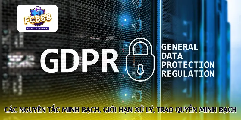 Các nguyên tắc minh bạch, giới hạn xử lý, trao quyền minh bạch