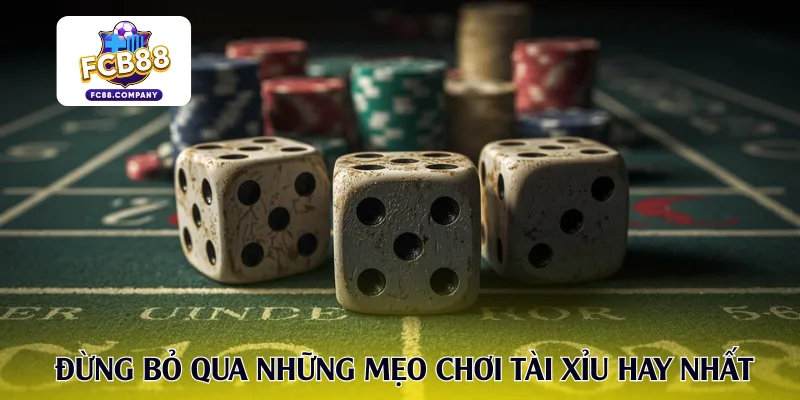 Đừng bỏ qua những mẹo chơi tài xỉu hay nhất