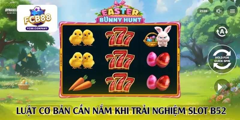 Luật cơ bản - Kiến thức cần nắm khi trải nghiệm slot B52