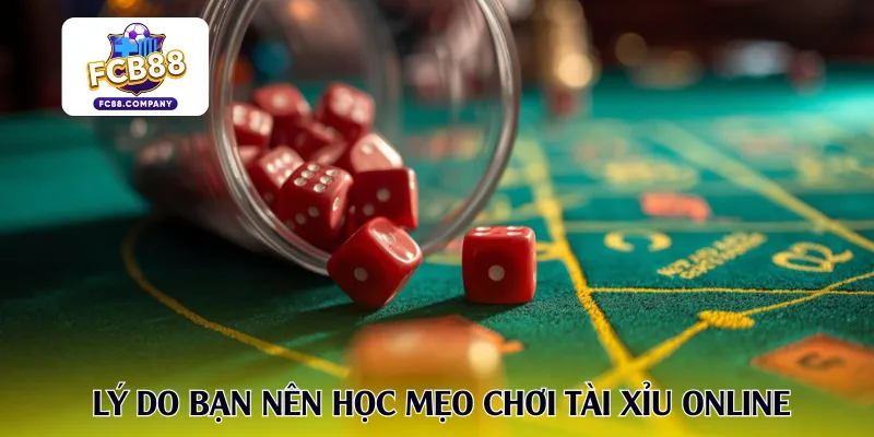 Lý do bạn nên học mẹo chơi tài xỉu online