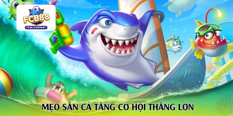 Mẹo săn cá tăng cơ hội thắng lớn