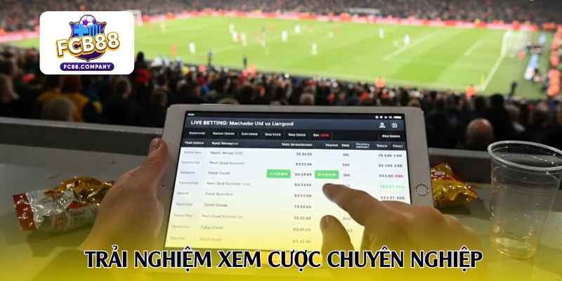 Trải nghiệm xem cược chuyên nghiệp