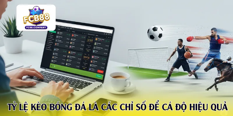 Tỷ lệ kèo bóng đá là các chỉ số dùng để cá độ hiệu quả