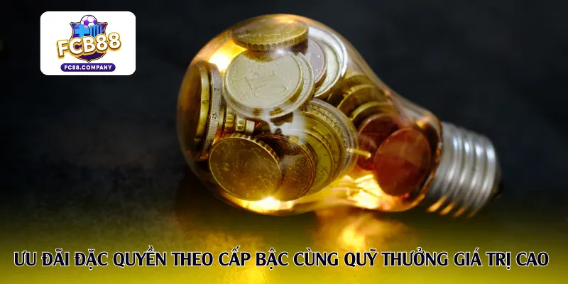 Ưu đãi đặc quyền theo cấp bậc cùng quỹ thưởng giá trị cao 